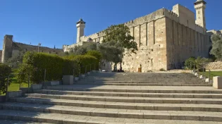 מה עומד מאחורי הנדיבות? השיעור המפתיע שעפרון החתי מלמד אותנו עד היום