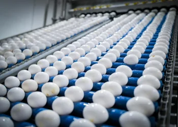 שומרים ביצים בדלת המקרר? זו כנראה טעות