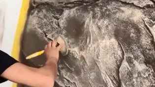 קיר רגיל? סלע? תחשבו שוב. התיעוד הזה יבלבל גם אתכם