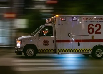 אסון במונסי: אברך נהרג כשעץ קרס על רכבו בדרך לכולל