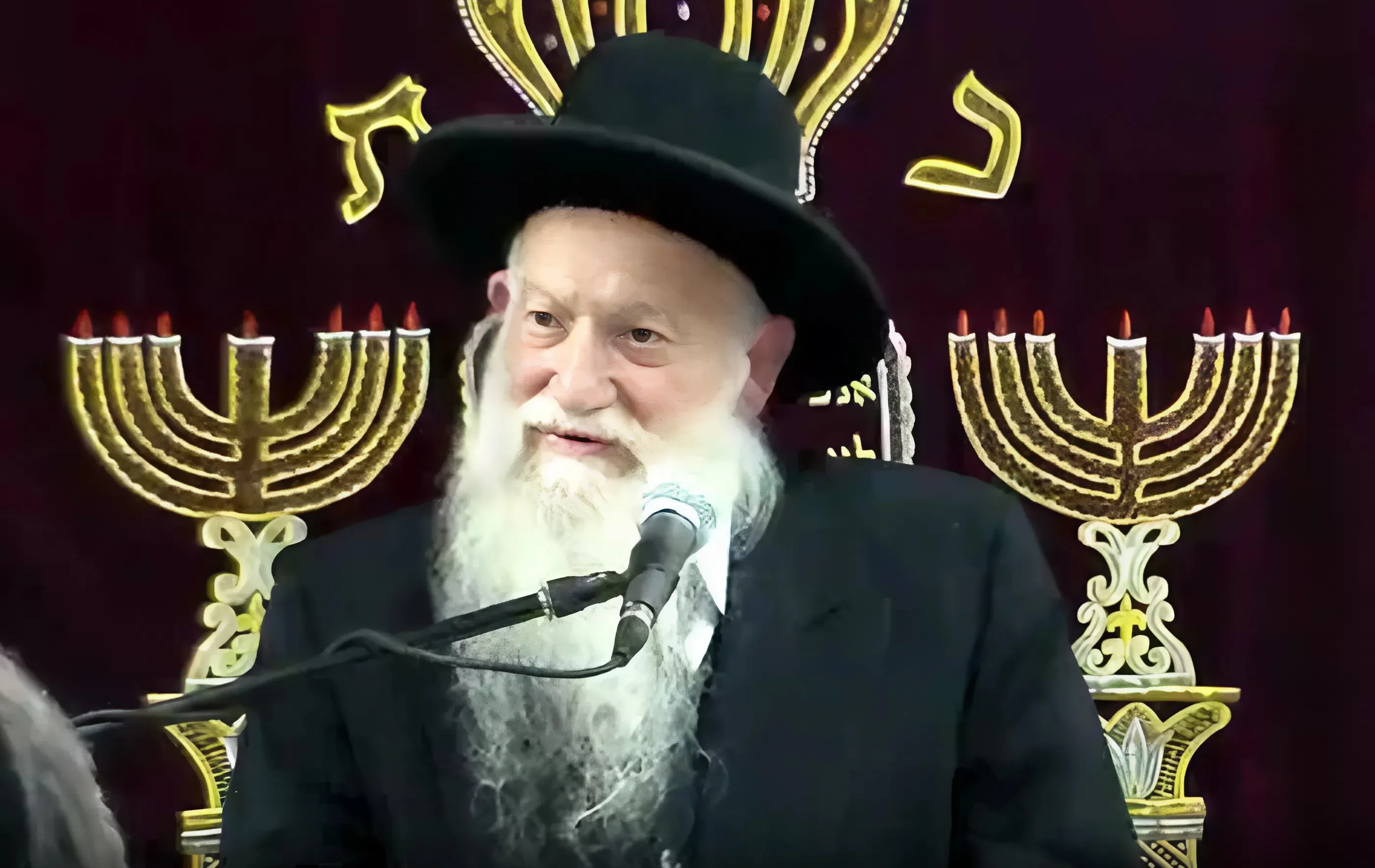 הגאון רבי אליהו רפול זצ"ל הגאון רבי אליהו רפול זצ"ל