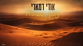 אודי דמארי - "ניגון תפילה"