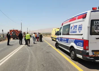 יותר מדי ילדים, פחות מדי זהירות: הנתונים שמטרידים רגע לפני יום הילד