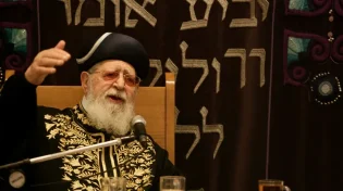 "שלי ושלכם, שלה הוא": כך נראתה מסירות הנפש של סבתא למען תורת מרן זצ"ל