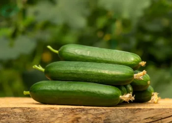 שומרים מלפפונים במקרר ככה? זו הטעות שהורסת לכם אותם