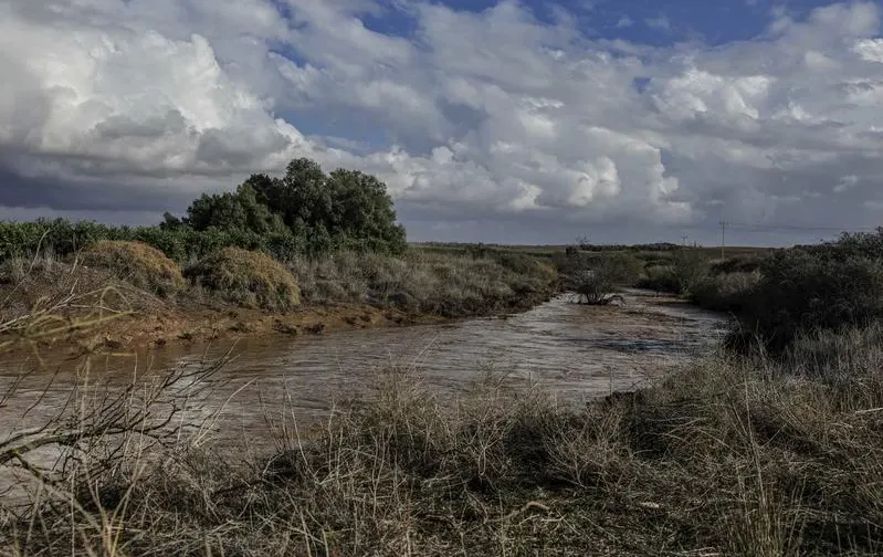 החורף מחכה בתור: התחממות קלה וצפויה רוח ערה בצפון