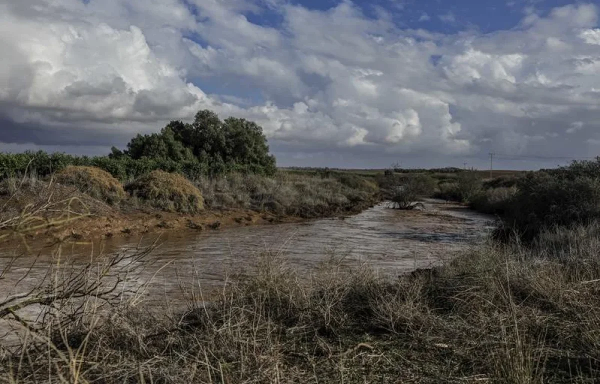 החורף מחכה בתור: התחממות קלה וצפויה רוח ערה בצפון