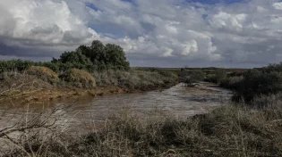 החורף מחכה בתור: התחממות קלה וצפויה רוח ערה בצפון