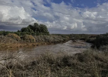 החורף מחכה בתור: התחממות קלה וצפויה רוח ערה בצפון