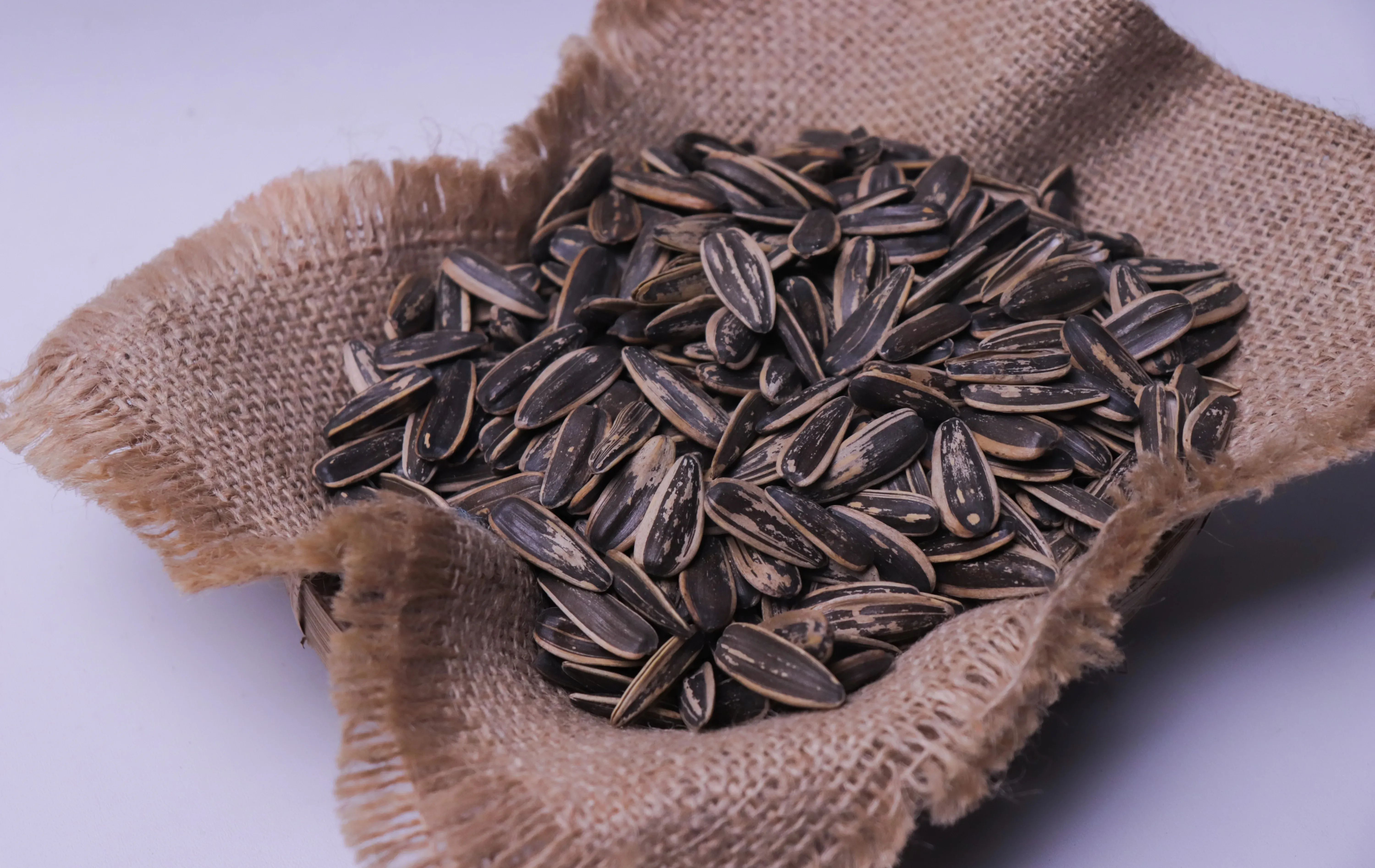 הרב בן ציון מוצפי מזהיר מפני פיצוח גרעינים בשבת בבית הכנסת הרב בן ציון מוצפי מזהיר מפני פיצוח גרעינים בשבת בבית הכנסת