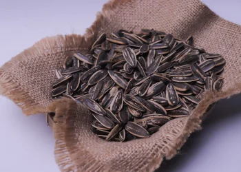 הרב בן ציון מוצפי מזהיר מפני פיצוח גרעינים בשבת בבית הכנסת