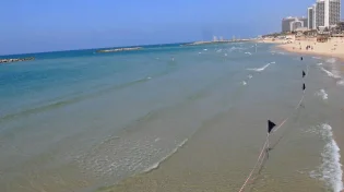 בלי פשרות: חוף נפרד חדש יוקם בצפון תל אביב