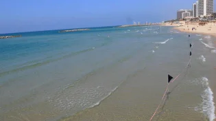 בלי פשרות: חוף נפרד חדש יוקם בצפון תל אביב