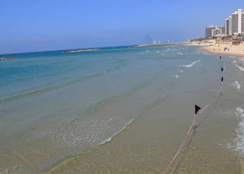 בלי פשרות: חוף נפרד חדש יוקם בצפון תל אביב