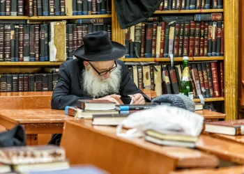 לימוד תורה מגן על המוח גם בזקנה