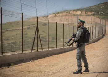 דו"ח מדאיג: עשרות משוחררי בעסקאות כבר חזרו לטרור