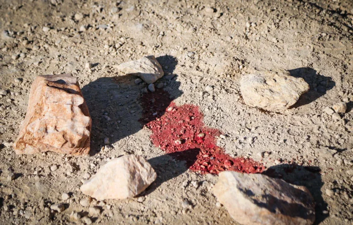 לוחמי הצנחנים הצליחו לעכב את המחבל שביצע את פיגוע הדקירה הבוקר