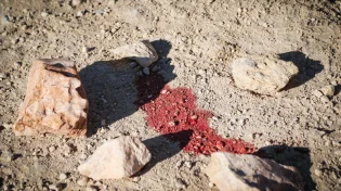 לוחמי הצנחנים הצליחו לעכב את המחבל שביצע את פיגוע הדקירה הבוקר