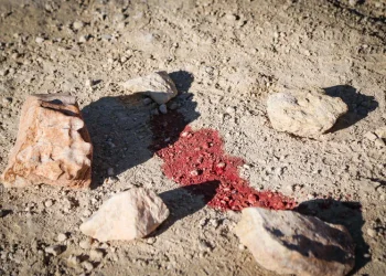 לוחמי הצנחנים הצליחו לעכב את המחבל שביצע את פיגוע הדקירה הבוקר