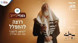 הניגון החב"די שהפך לראפ חסידי - יהושע לימוני
