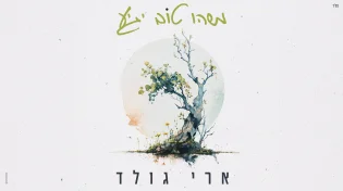 לקראת האלבום: ארי גולד משיק סינגל ישראלי חדש - “משהו טוב יגיע”