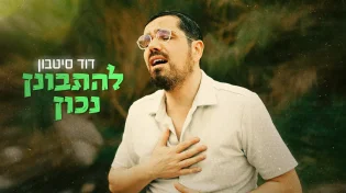 הזמר דוד סיטבון מפתיע בסינגל שנכתב בימי המלחמה: "להתבונן נכון"