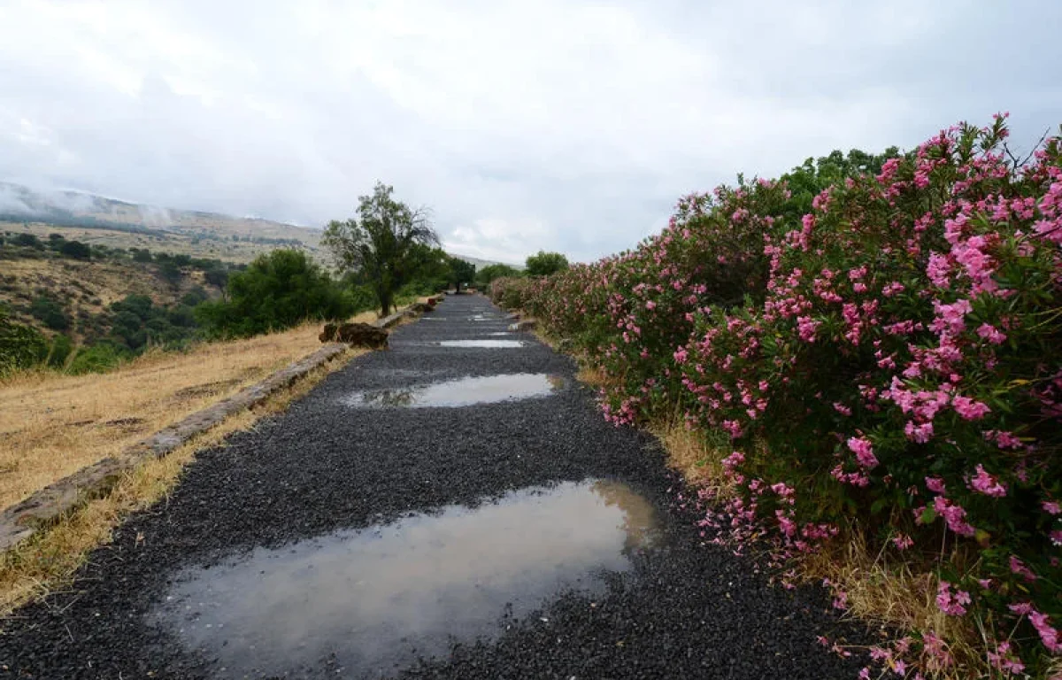 תחזית מזג האוויר: התקררות, גשמים מקומיים ואובך קל 