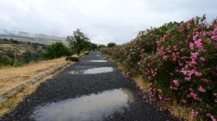 תחזית מזג האוויר: התקררות, גשמים מקומיים ואובך קל