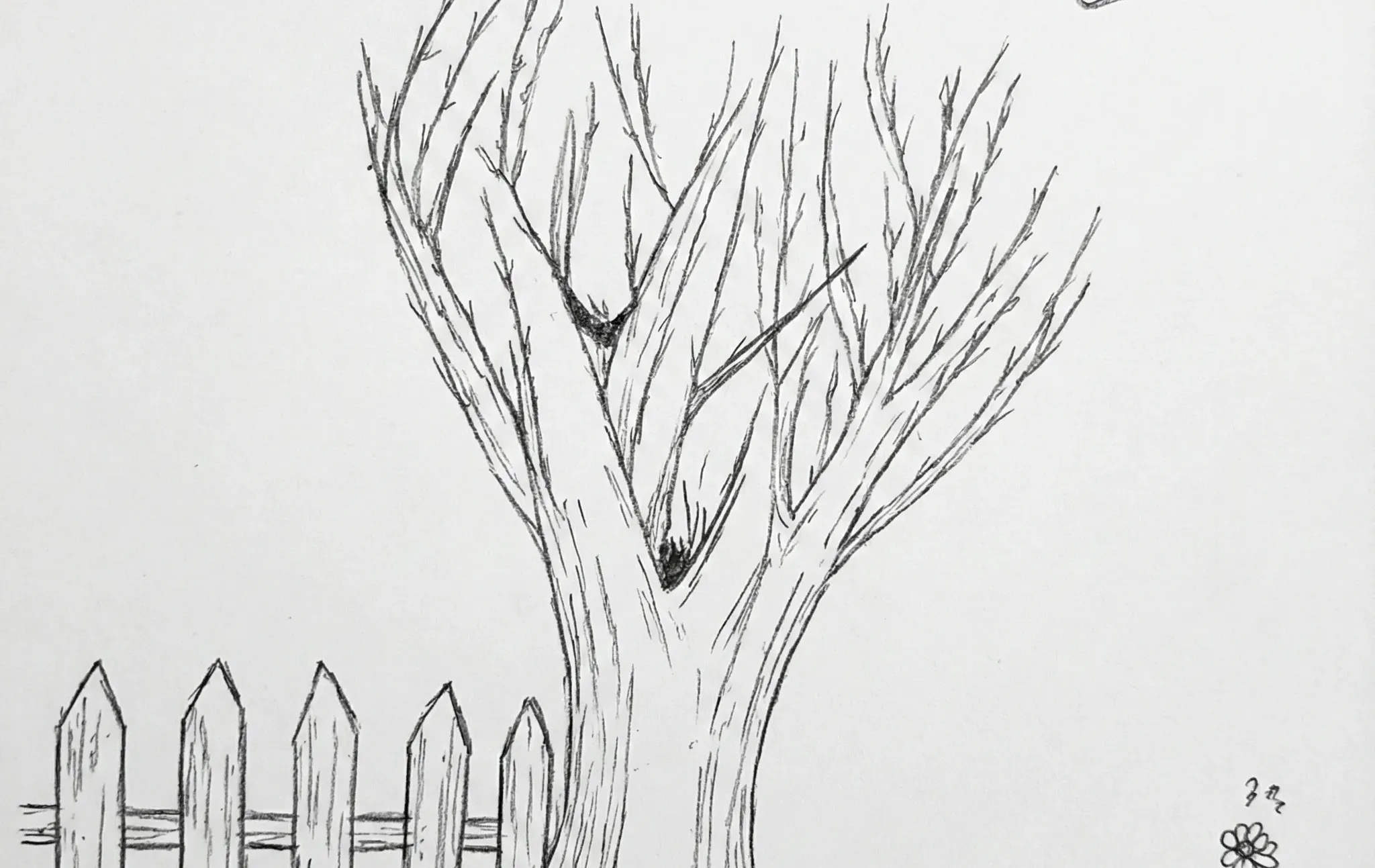 ציור של עץ גבוה ללא עלים עם גדר ציפורים ופרח בודד שמסמל ילד רגיש שמחפש אומץ להרגיש ולבטא את עולמו הפנימי ציור של עץ גבוה ללא עלים עם גדר ציפורים ופרח בודד שמסמל ילד רגיש שמחפש אומץ להרגיש ולבטא את עולמו הפנימי