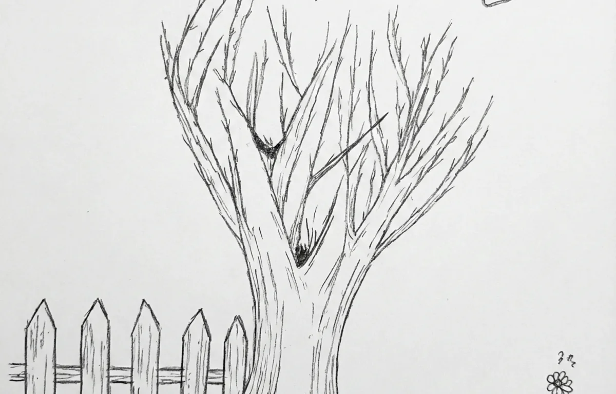 ציור של עץ גבוה ללא עלים עם גדר ציפורים ופרח בודד שמסמל ילד רגיש שמחפש אומץ להרגיש ולבטא את עולמו הפנימי