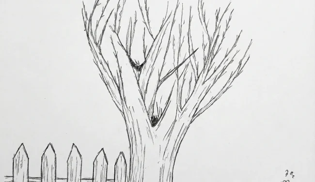 הגרפולוג גלעד שמאע: "ילד עם פוטנציאל גדול, אך הוא חסום"