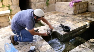11 דברים שלא ידעתם על מצוות 'טבילת כלים'