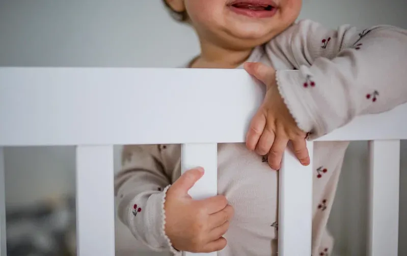 אביגיל, דוד, ו... לביא? אלו השמות הכי נפוצים לשנת 2024