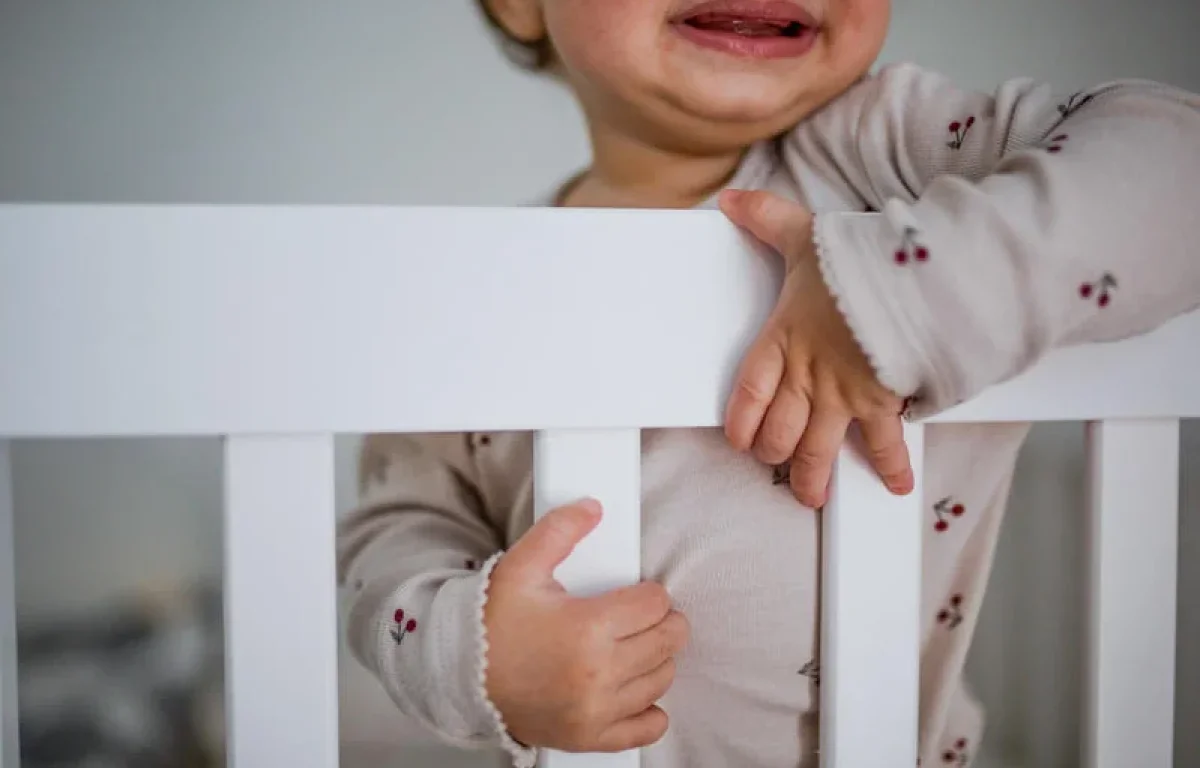 אביגיל, דוד, ו... לביא? אלו השמות הכי נפוצים לשנת 2024