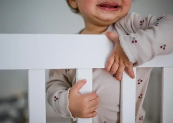 אביגיל, דוד, ו... לביא? אלו השמות הכי נפוצים לשנת 2024