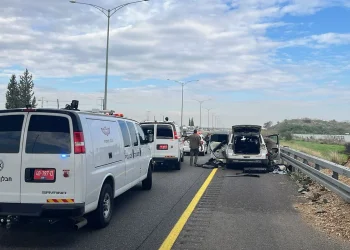 8 שוהים בלתי חוקיים נעצרו בכביש 6; החשש הביטחוני הוסר 8 שוהים בלתי חוקיים נעצרו בכביש 6; החשש הביטחוני הוסר