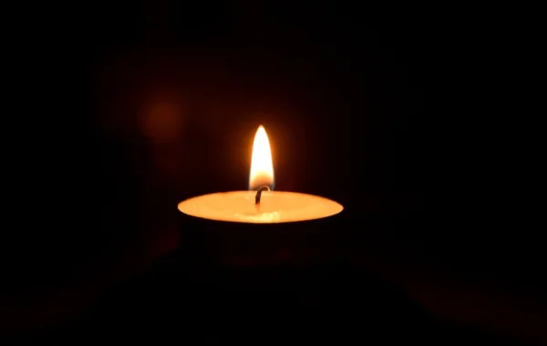 נרצחה באכזריות: אדית ברוטמן ז