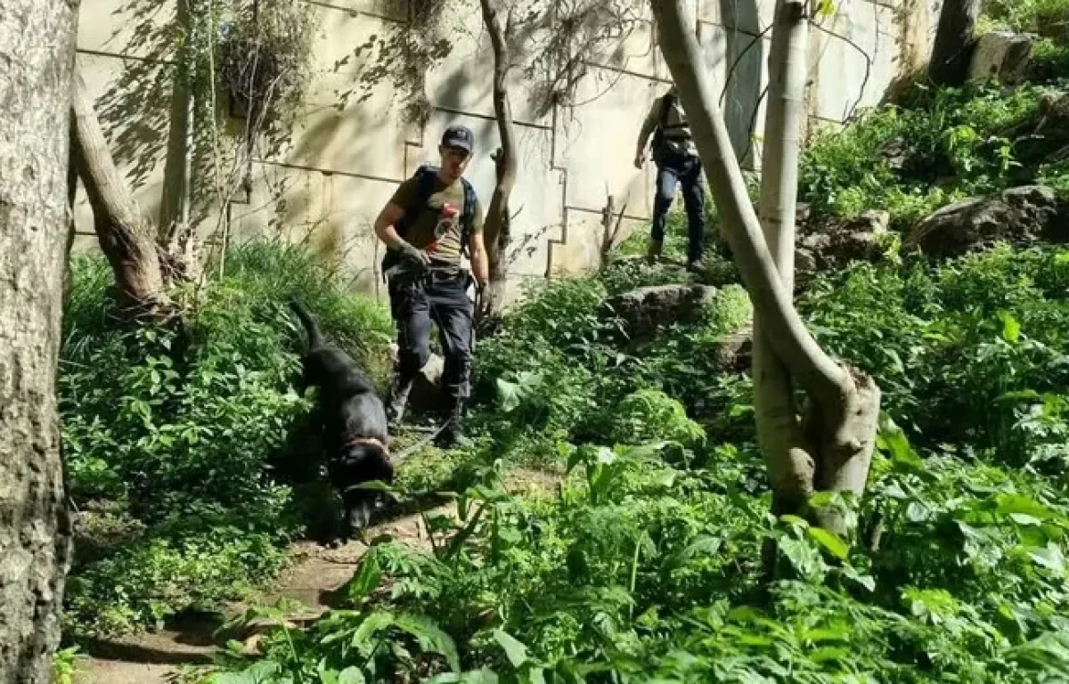 צו איסור פרסום בחקירת היעלמות היימנוט קסאו; החקירה עברה ללהב 433