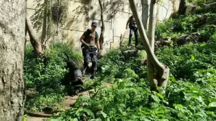 צו איסור פרסום בחקירת היעלמות היימנוט קסאו; החקירה עברה ללהב 433