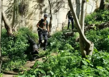 צו איסור פרסום בחקירת היעלמות היימנוט קסאו; החקירה עברה ללהב 433