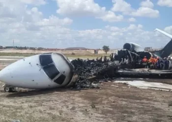 אסון במשימה רפואית: חמישה הרוגים בהתרסקות מטוס מול חופי טקסס אסון במשימה רפואית: חמישה הרוגים בהתרסקות מטוס מול חופי טקסס