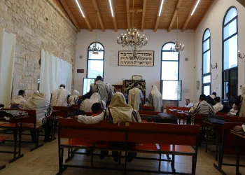 רבים לא יודעים: הסגולה לפרנסה וישועה שאפשר לעשות 3 פעמים ביום