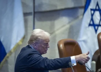 טראמפ וזלנסקי נפגשו במיאמי: מתקדמים להסכם שלום