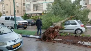 הסערה בעיצומה: 4 חולצו מרכב שנסחף בנחל סמוך למגידו; עץ קרס על רכב בהרצליה