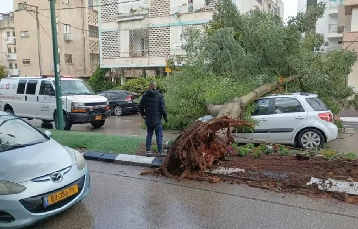 הסערה בעיצומה: 4 חולצו מרכב שנסחף בנחל סמוך למגידו; עץ קרס על רכב בהרצליה