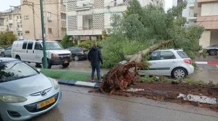 הסערה בעיצומה: 4 חולצו מרכב שנסחף בנחל סמוך למגידו; עץ קרס על רכב בהרצליה