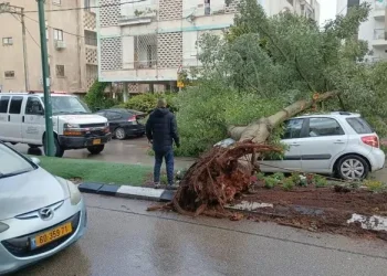 הסערה בעיצומה: 4 חולצו מרכב שנסחף בנחל סמוך למגידו; עץ קרס על רכב בהרצליה