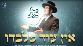 שרולי בעלז ומקהלת 'מנגן' מלונדון מגישים ביצוע מרקיד וסוחף ללהיט "אין עוד מלבדו"