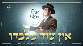 שרולי בעלז ומקהלת 'מנגן' מלונדון מגישים ביצוע מרקיד וסוחף ללהיט "אין עוד מלבדו"