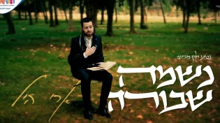 עיריית ירושלים מגישה: ארי היל בסינגל קליפ נוגע "נשמה שבורה"